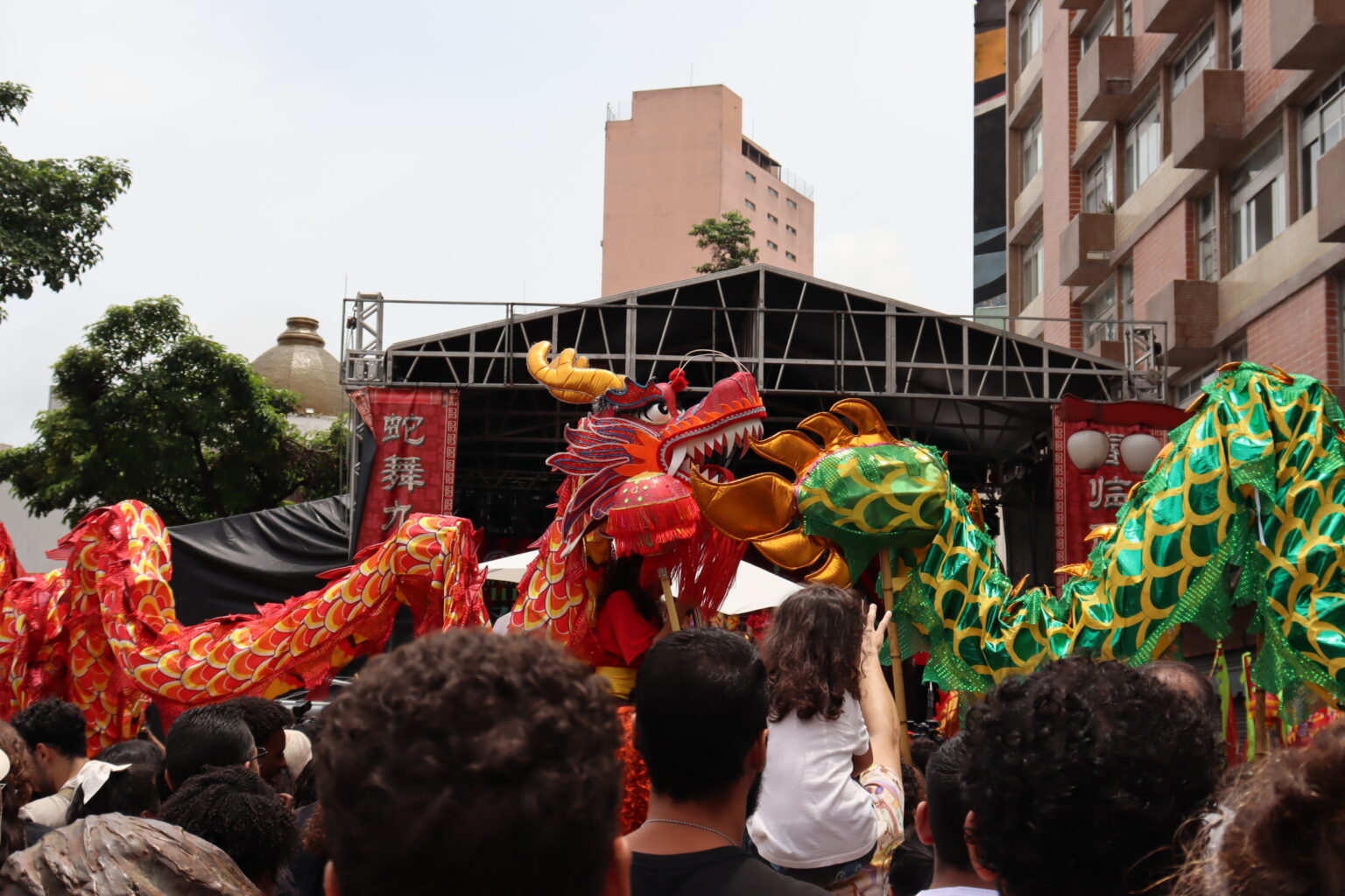 FaculdadeEBRAMEC-Ano-Novo-Chines-Liberdade-2025 (10)